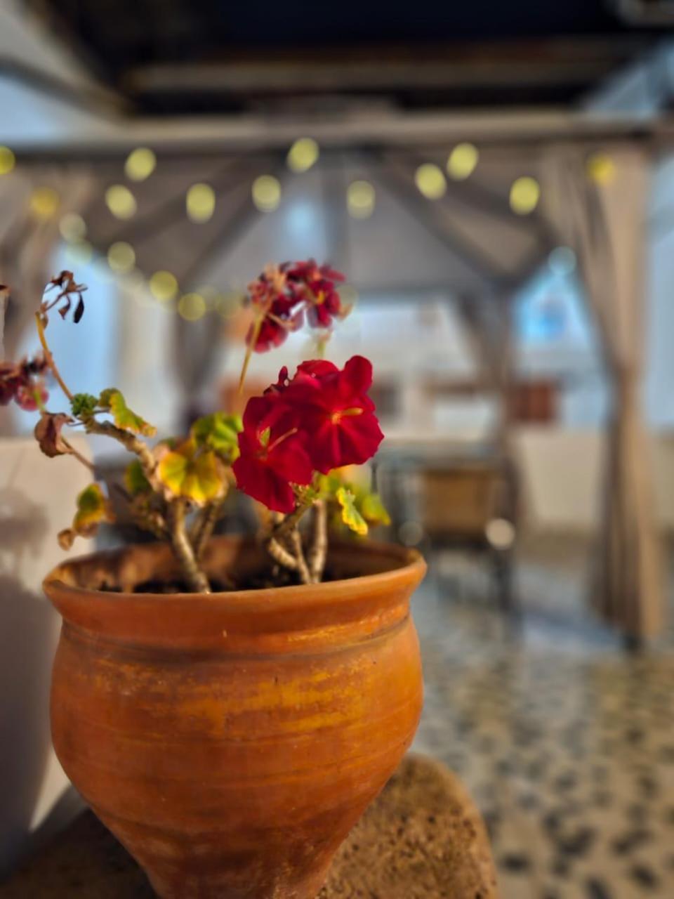 Wayras Guest house Cusco